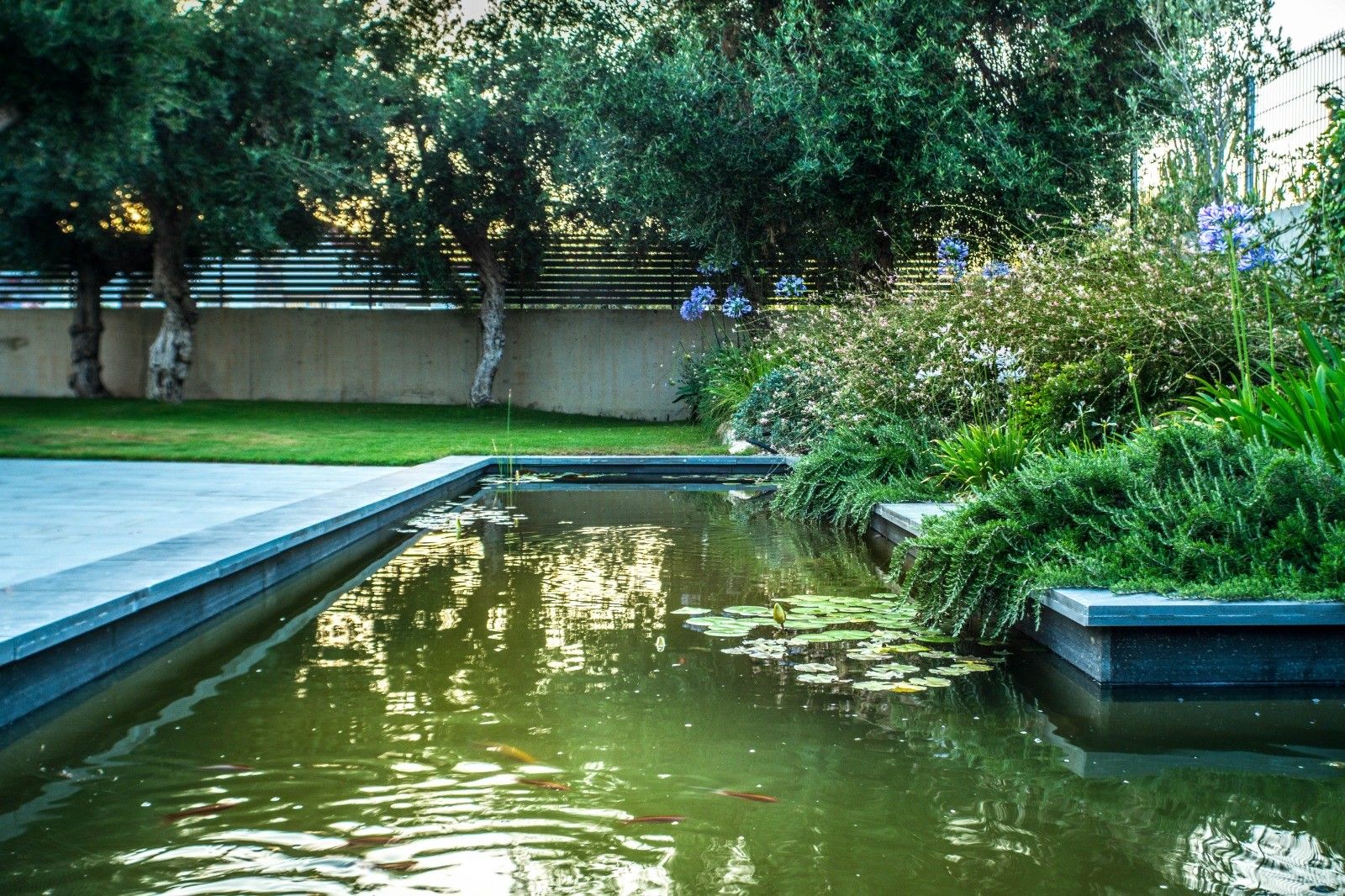 Jardín privado 15