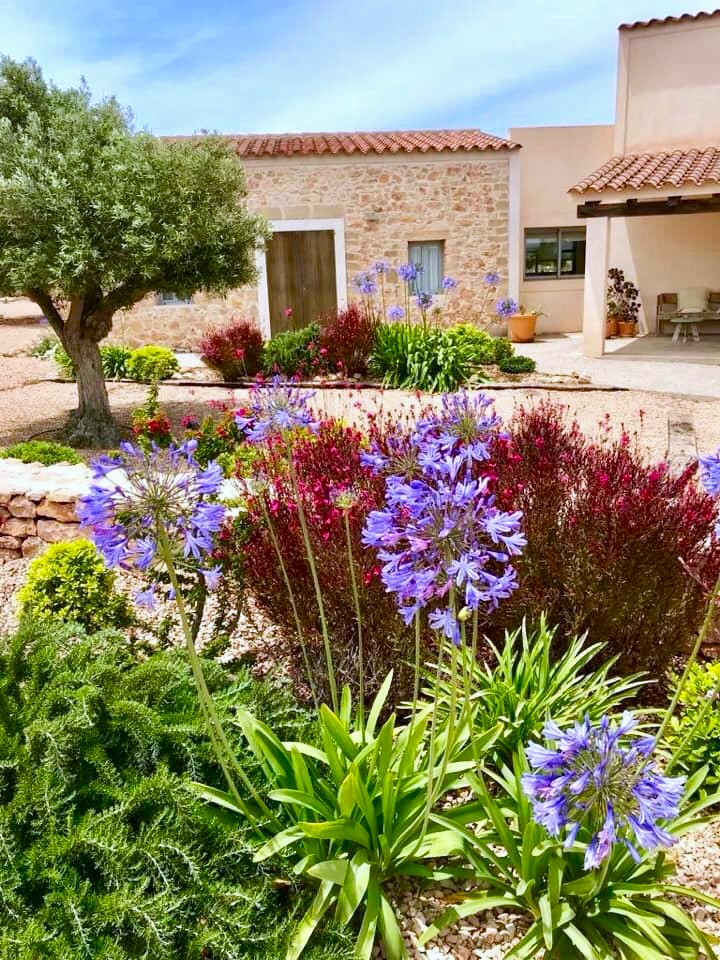 Jardín privado 2