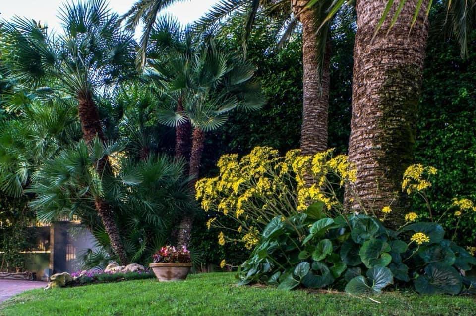 Jardín privado 5