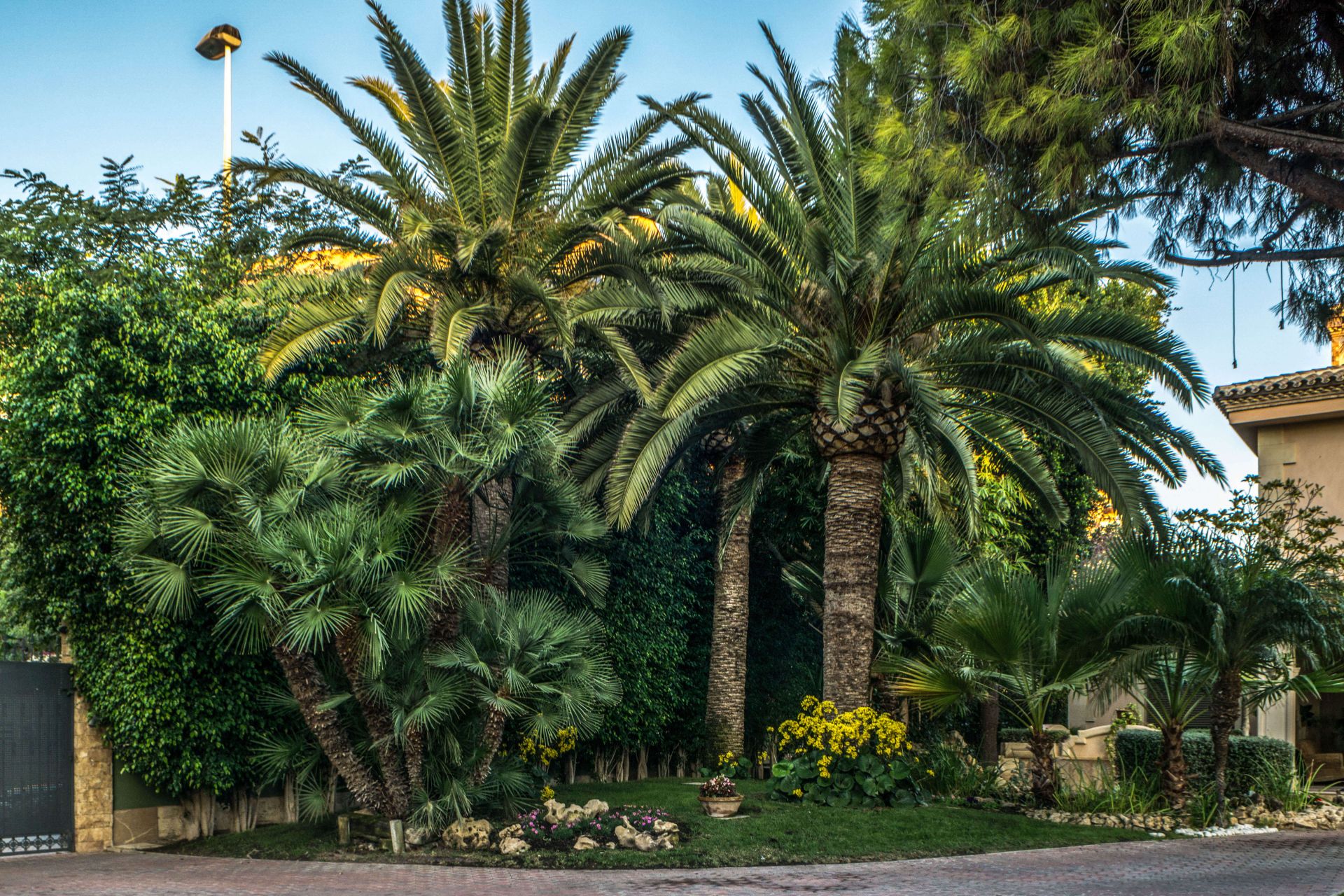 Jardín privado 6