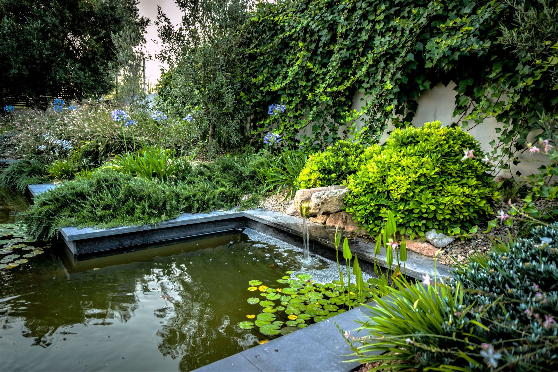 Jardín privado 7
