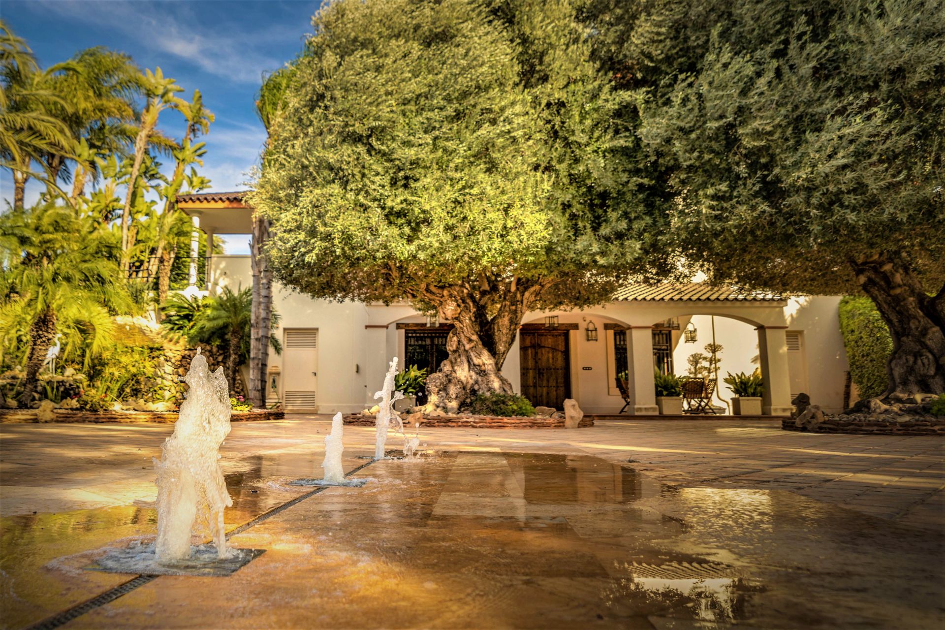 Jardín privado 9
