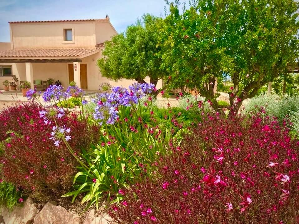 Jardines Justo Carbonell - Jardín 3